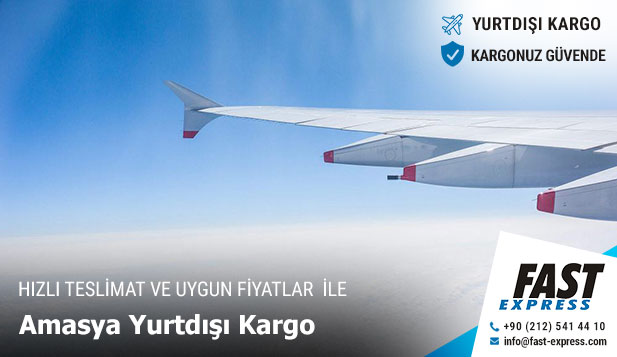 amasya yurtdisi kargo