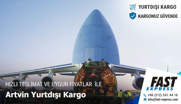 artvin yurtdisi kargo