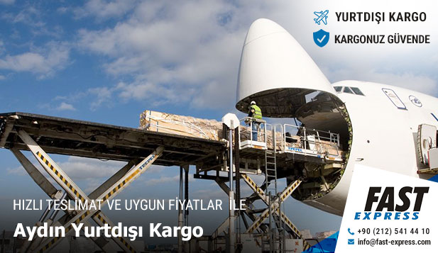 aydin yurtdisi kargo