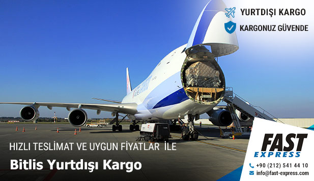 bitlis yurtdisi kargo