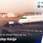 yurtdisikargo agri2