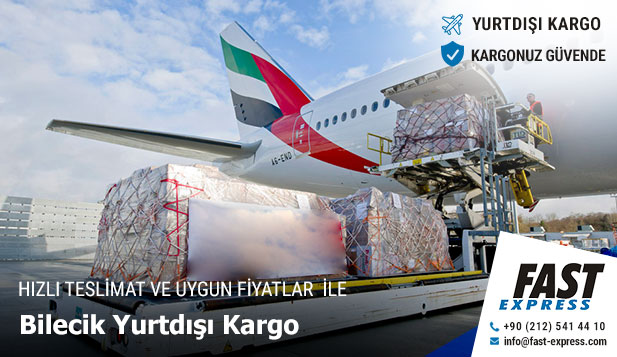 yurtdisikargo bilecik3
