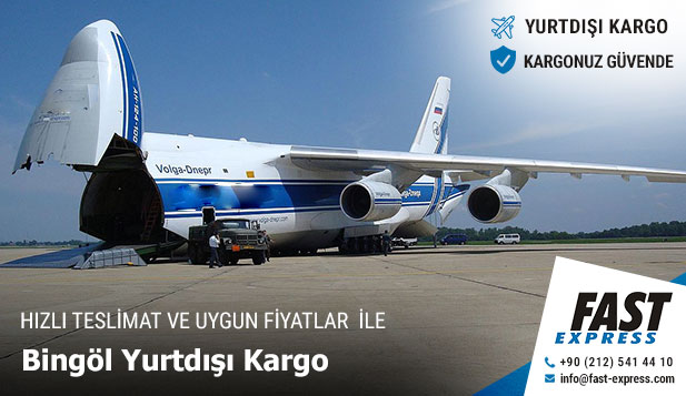 yurtdisikargo bingol2